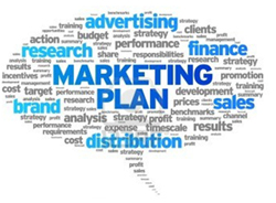 Marketing Plan Services
